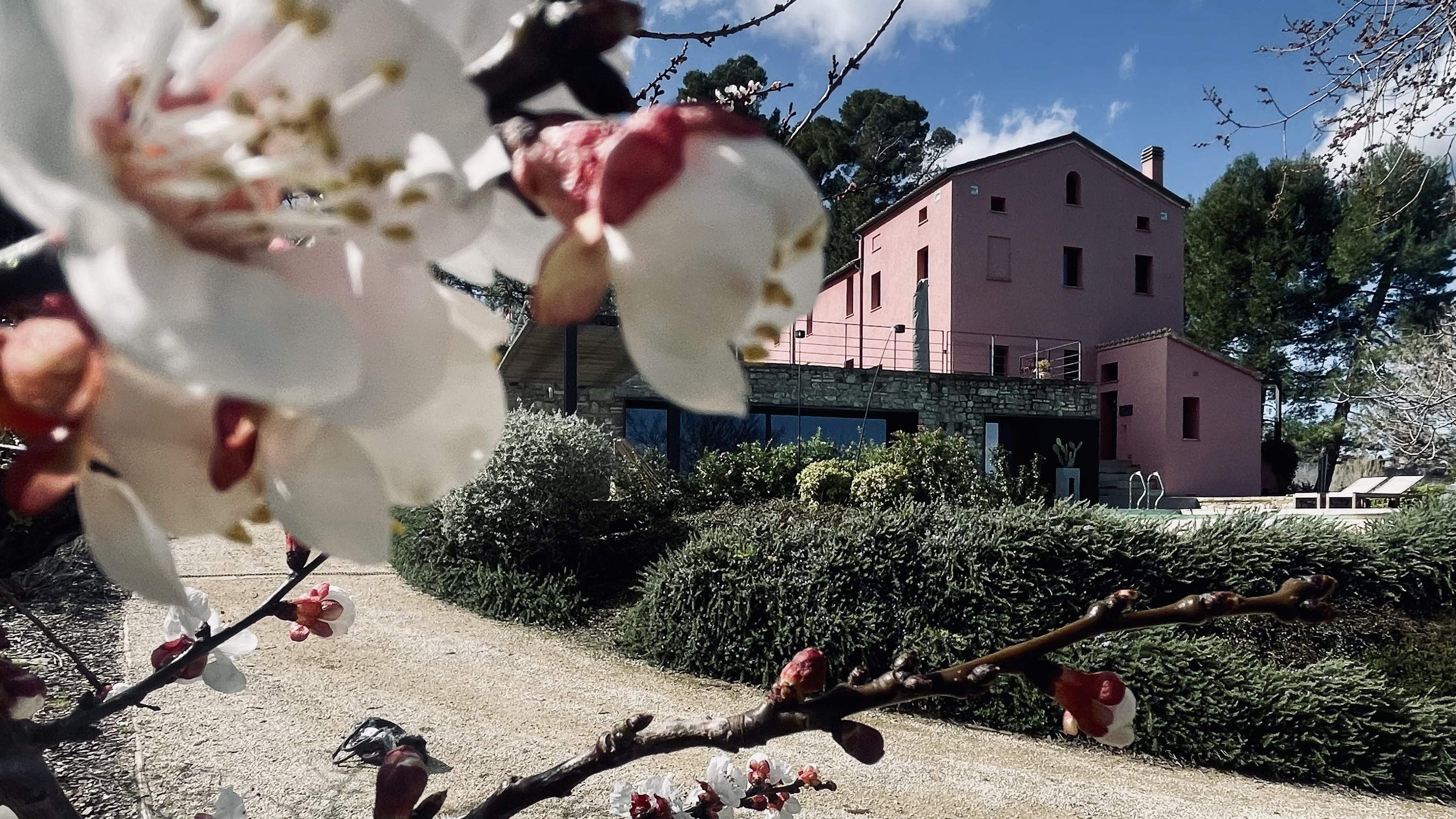 casa rossa 4A — Zufahrt auf den Hügel